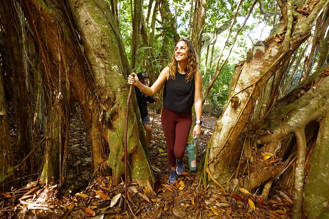 Hike Honolua Ridgeline - The Trail Itself: Native Forest Shade, Ridgeline Views, and Slippery Spots