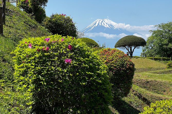 Hike Japan Heritage Hakone Hachiri with certified mountain guide - Lake Ashi and the Heiwa no Torii: the day’s big visual payoff