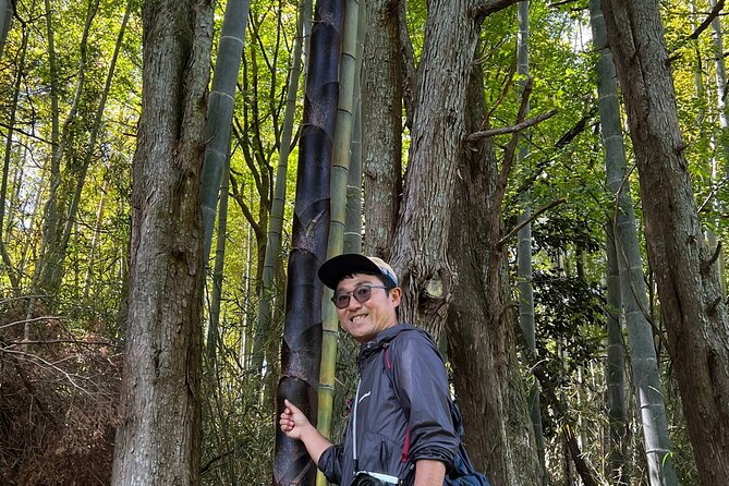 Hike Japan Heritage Hakone Hachiri with certified mountain guide - Lunch near the checkpoint, then a bus skip around a closure