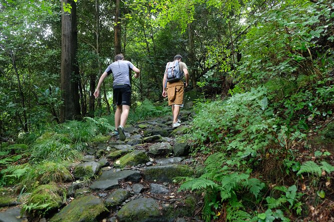 Hike Japan Heritage Hakone Hachiri with certified mountain guide - Yamanaka Castle Ruins: a shorter stop with an extra view gamble
