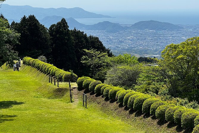 Hike Japan Heritage Hakone Hachiri with certified mountain guide - Mishima Station finish: shrines, Genba River, and an easy train exit