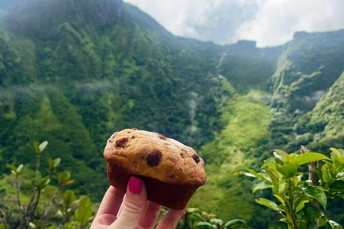 Hike St. Kitts: Highest peak Mount Liamuiga Volcano - What the rainforest sounds like when you’re working for it