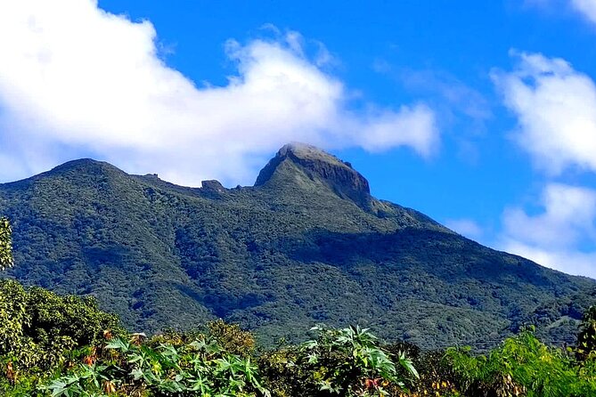 Hike St. Kitts: Highest peak Mount Liamuiga Volcano - Guides make the difference: Djae, Elly, Janeel, DJ, Quan, Sunshine
