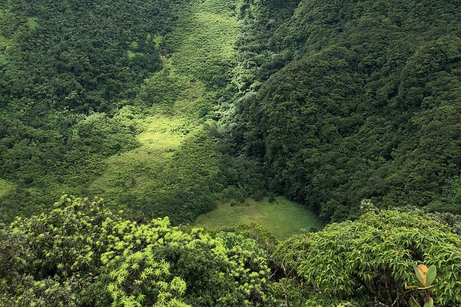 Hike St. Kitts: Highest peak Mount Liamuiga Volcano - How hard is it, really? My straight answer for your body