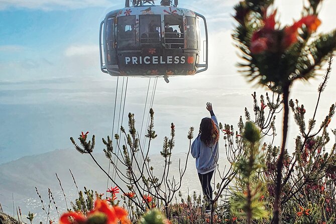 Hike Table Mountain with a Guide - Choose Route - Pickup, Groups, and How to Think About Value