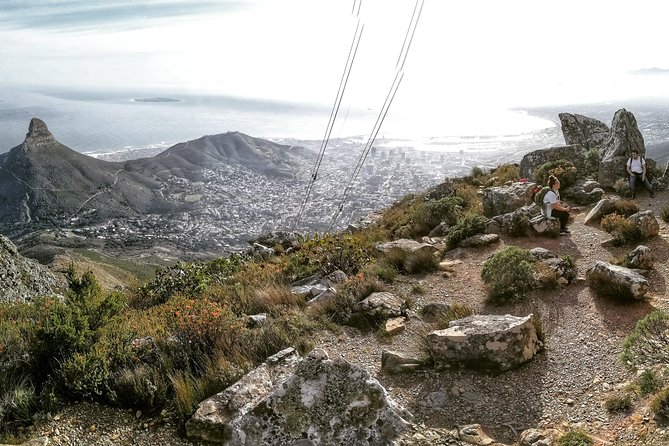 Hike Table Mountain with a Guide - Choose Route - Who Should Book (and Who Might Skip India Venster)