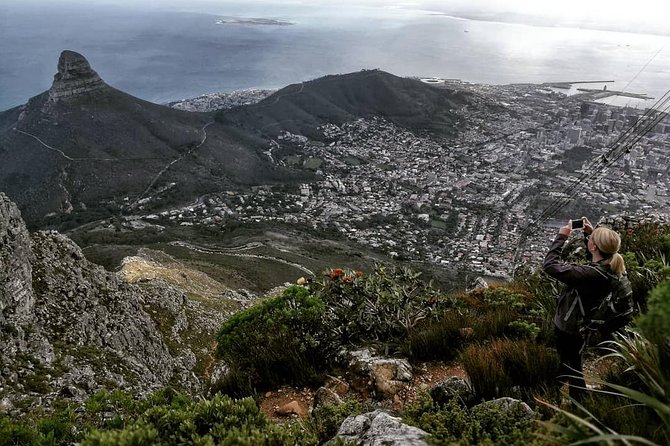 Hike Table Mountain with a Guide - Choose Route - What the 3.5-Hour Climb Actually Feels Like on Your Legs