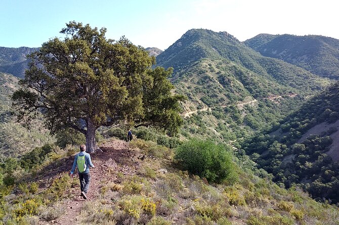 Hike the Cork Oak trail and try some Delicious Cheese - Key points to know before you go