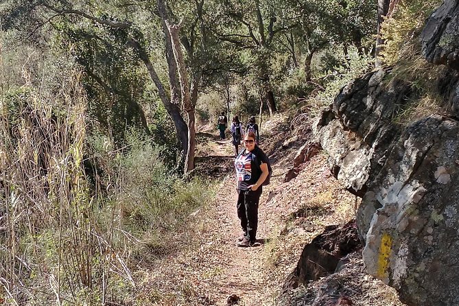 Hike the Cork Oak trail and try some Delicious Cheese - Best views near Pico Espadán: when the work pays off