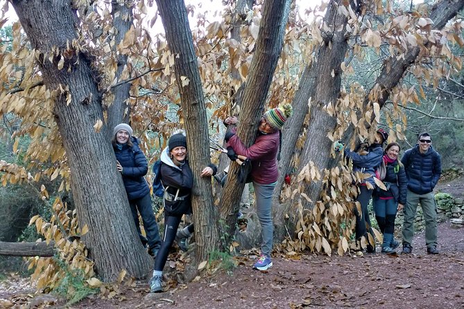 Hike the Cork Oak trail and try some Delicious Cheese - Cork oak forests, rugged gorges, and an abandoned cork factory