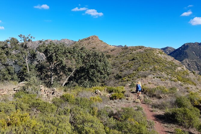 Hike the Cork Oak trail and try some Delicious Cheese - What the $53 price gets you (and why it’s decent value)