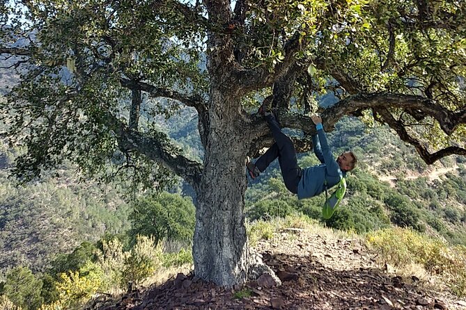 Hike the Cork Oak trail and try some Delicious Cheese - Sierra Espadán hike on the Cork Oak trail: 12 km and 400 meters of gain