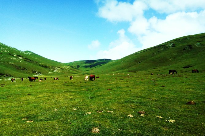Hike the heart of the Basque country - Why This Basque Countryside Hike Feels Different Than a City Tour