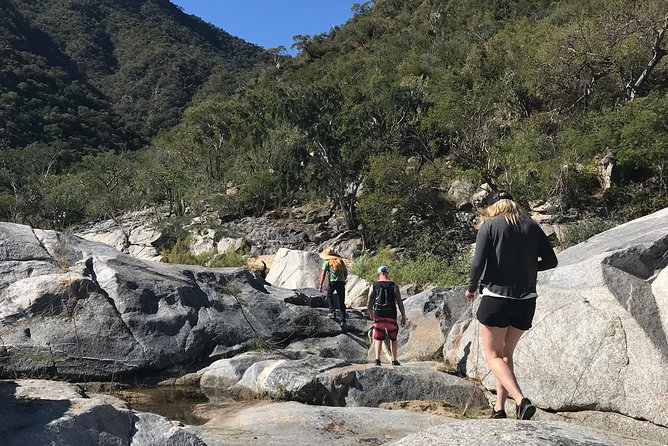 Hike the native Pericu road in Sierra de la Laguna. - Key highlights worth your attention