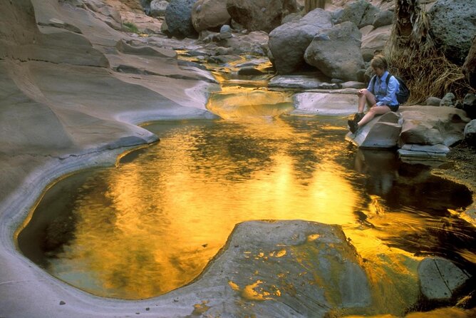 Hike the native Pericu road in Sierra de la Laguna. - Sierra La Laguna Reserve: Canyons, Riverbeds, and the Best Water Stops