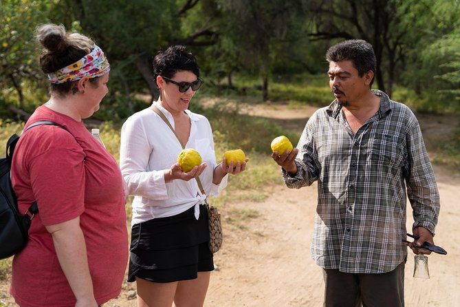 Hike the native Pericu road in Sierra de la Laguna. - Rancho Culture Lunch: Food You Actually Taste, Not Just Eat