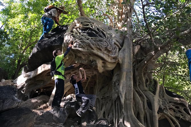 Hike the native Pericu road in Sierra de la Laguna. - Guides and Group Size: Why Max Eight Changes Everything