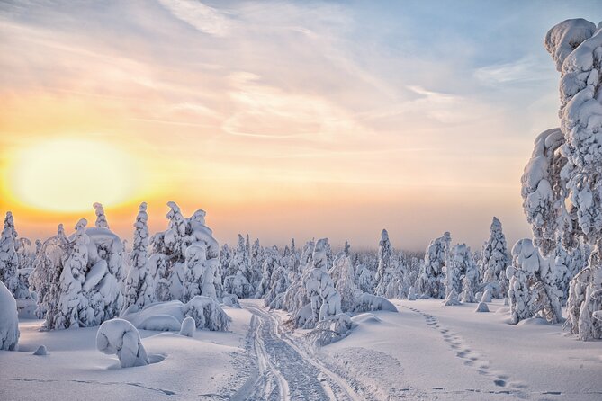 Hike to Frozen Waterfalls of Korouoma Including BBQ Lunch from Rovaniemi - The BBQ lunch by the bonfire: what’s included and why it works