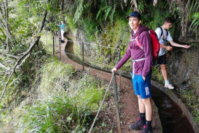 Hiking and Trekking tours in Madeira - Funchal pickup at 9:00 am: the start that saves your energy