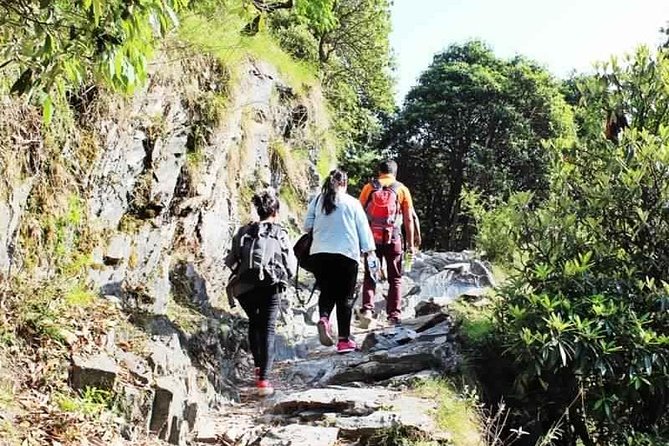 Hiking Day Tour to Triund from Dharamshala - Key Things That Make This Triund Day Tour Worth It