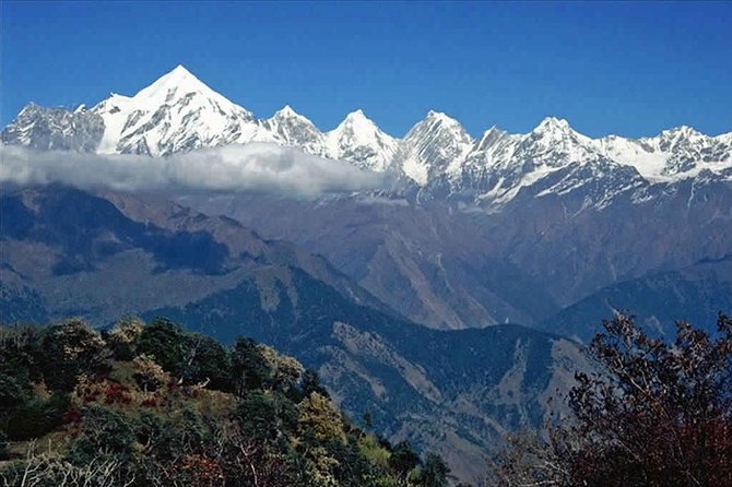 Hiking Day Tour to Triund from Dharamshala - Triund Summit: Lunch at the Alpine Meadow and the View Payoff