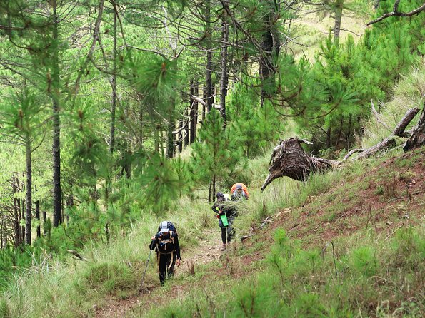 Hiking Day Tour to Triund from Dharamshala - Who This Tour Fits Best (and Who Should Rethink It)