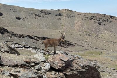 Hiking experience in the High Sierra Nevada National Park - Getting to 2,500 Meters: The Drive That Sets the Tone