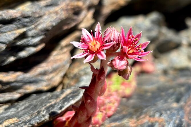 Hiking experience in the High Sierra Nevada National Park - Money and Value: Is $71.35 a Fair Deal?