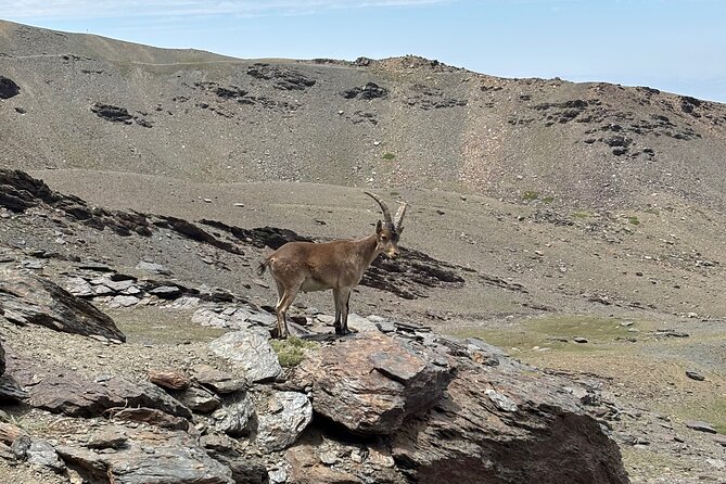 Hiking experience in the High Sierra Nevada National Park - Getting to 2,500 Meters: The Drive That Sets the Tone