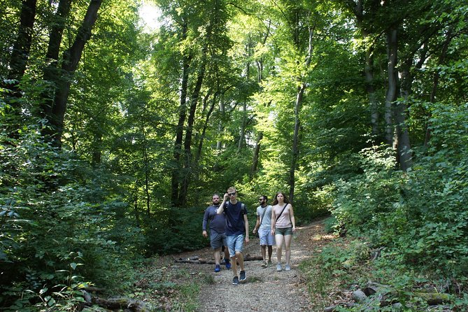 Hiking in Budapest - Upgrade to a Full-Day Option: More Time in the Hills