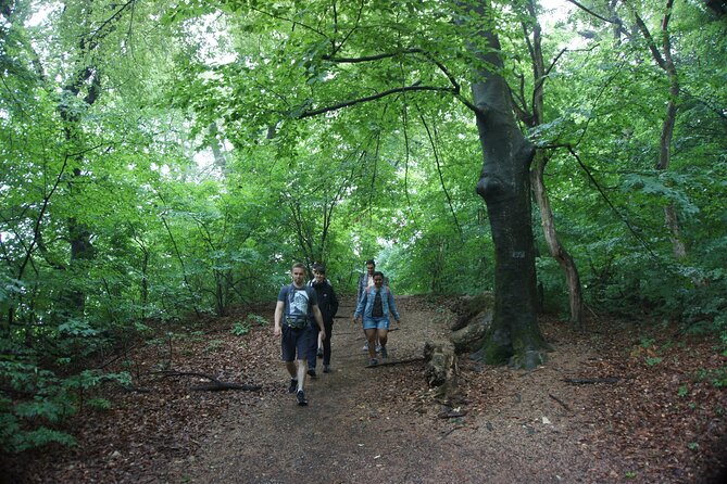 Hiking in Budapest - Starting at Széll Kálmán tér: Easy Transit, Clear Meeting Spot