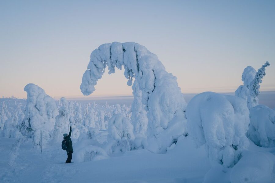 Hiking in Riisitunturi National Park with Photographer - Key highlights to plan for