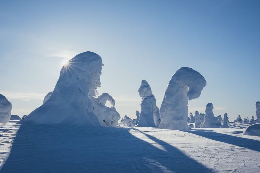 Hiking in Riisitunturi National Park with Photographer - Final call: should you book Arctic Photo Experience in Riisitunturi?