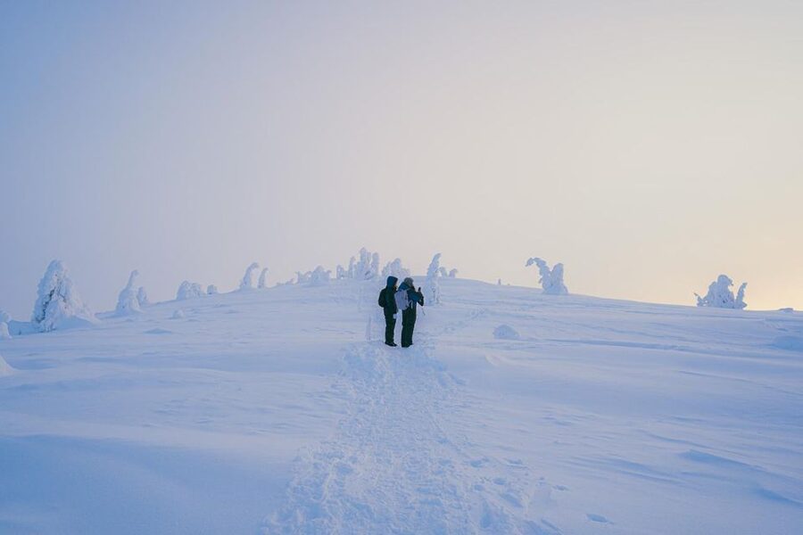 Hiking in Riisitunturi National Park with Photographer - Riisitunturi in winter: what you’ll actually see
