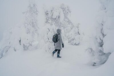 Hiking in Riisitunturi National Park with Photographer - Getting there from Rovaniemi: the long van ride that shapes the day