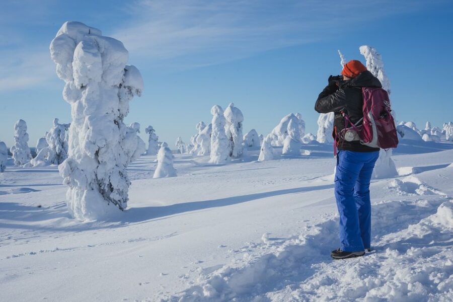 Hiking in Riisitunturi National Park with Photographer - Transport quality and group dynamics: why up to 8 matters