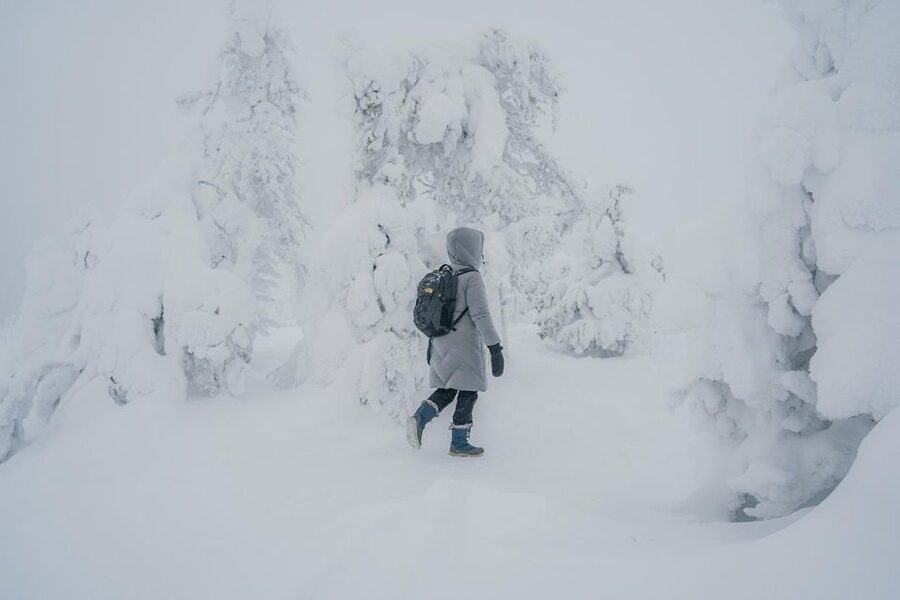 Hiking in Riisitunturi National Park with Photographer - Getting there from Rovaniemi: the long van ride that shapes the day