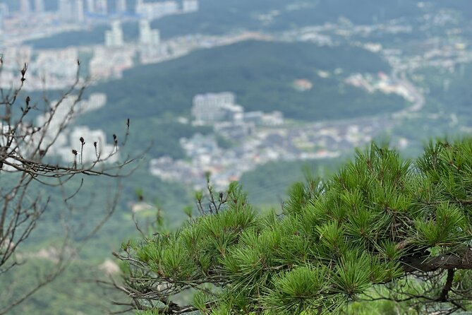 Hiking in Seoul : Bukhansan National Park - Guides worth their weight in hiking boots (examples from past groups)