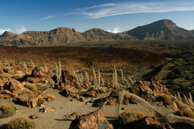 Hiking in Tenerife's Great Outdoors - Key Highlights That Matter on This Hike