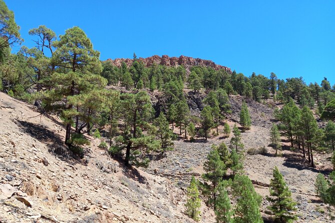 Hiking in Tenerife's Great Outdoors - The Hike Plan: 12 km, 600m, and Trail Reality
