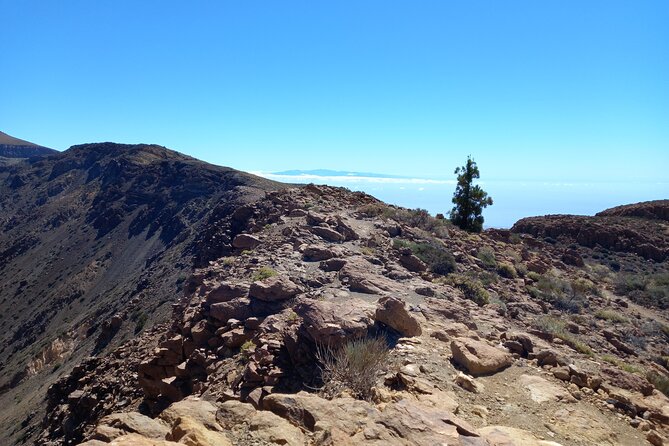 Hiking in Tenerife's Great Outdoors - Stop 1: Teide National Park—Volcanic Views Plus Real Explanations