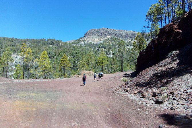 Hiking in Tenerife's Great Outdoors - What to Bring: Hiking Equipment Isn’t Included