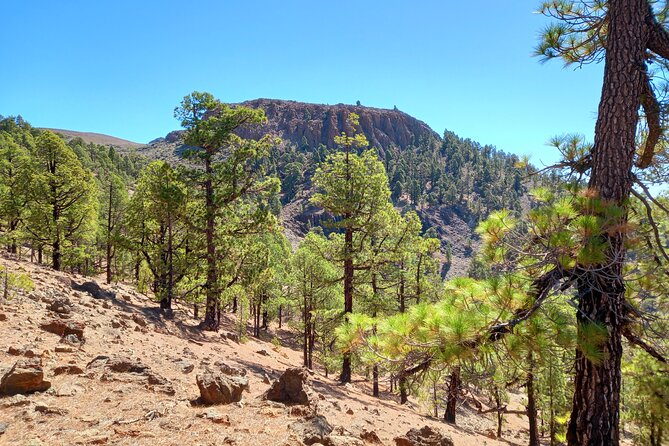 Hiking in Tenerife's Great Outdoors - Weather and Timing: When to Expect a Change in the Route