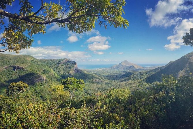Hiking in the Black River Gorges National Parc - Native Forest - Entering Black River Gorges: a rainforest hike with real altitude
