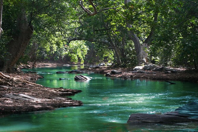 Hiking in the Black River Gorges National Parc - Native Forest - The Black River dip: a quick cool-down with meaning