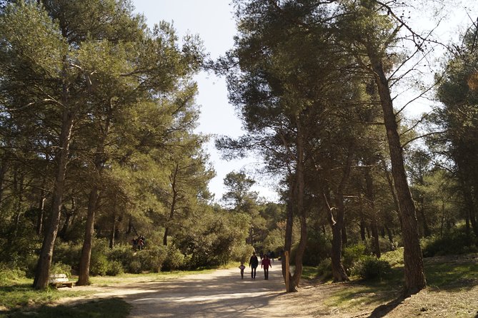 Hiking in the Calanques National park from Marseille - Picnic/snack timing: how the lunch actually works