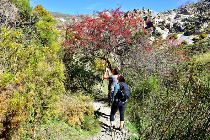 Hiking in the Canyon of the Monachil Cubs in Granada - Canyon of the Monachil Cubs: what makes Los Cahorros special