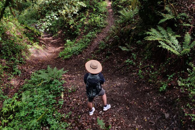 Hiking in the Sierra Norte of Oaxaca - Key things that make this hike work