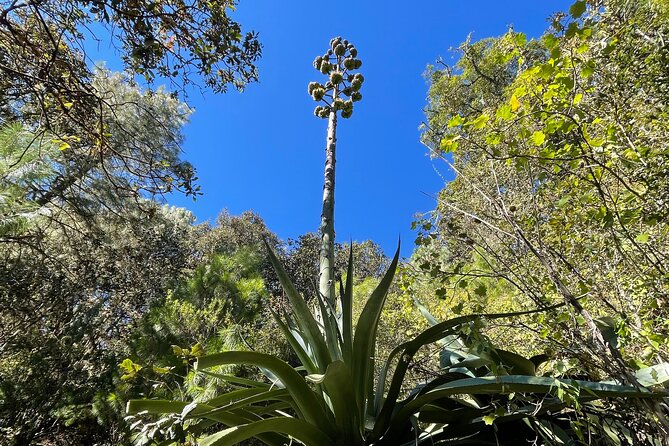 Hiking in the Sierra Norte of Oaxaca - Routes and pacing: how to choose the day you want
