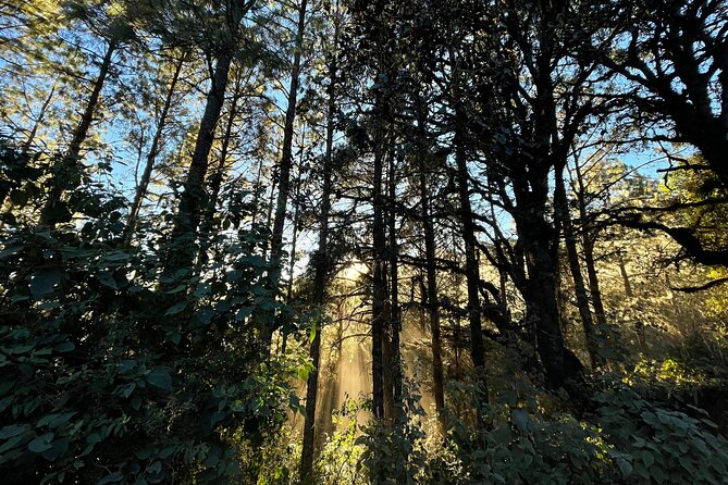 Hiking in the Sierra Norte of Oaxaca - Benign terrain on paper, real terrain on your legs